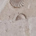 לינה וארוחת בוקר La Casa Del Tartufaio 3*