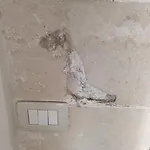לינה וארוחת בוקר La Casa Del Tartufaio