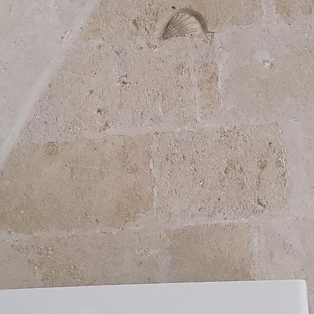 La Casa Del Tartufaio Bed and breakfast