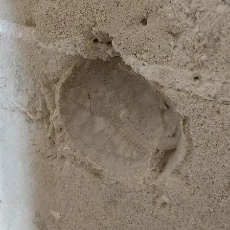 La Casa Del Tartufaio Bed and breakfast