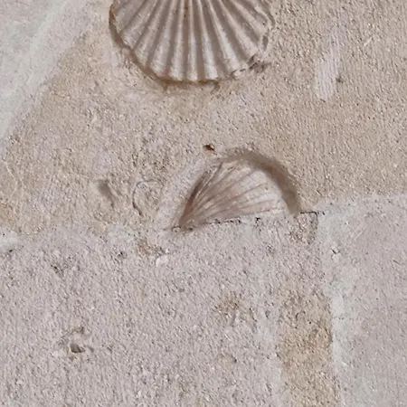 Bed and breakfast La Casa Del Tartufaio 3*