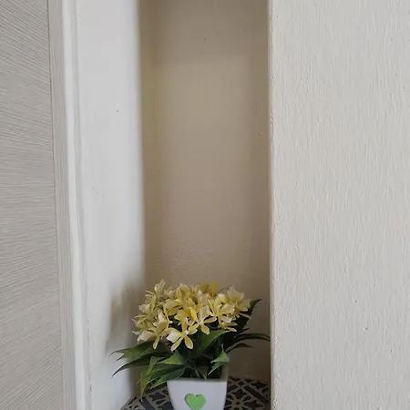 B&B La Casa Del Tartufaio 마테라
