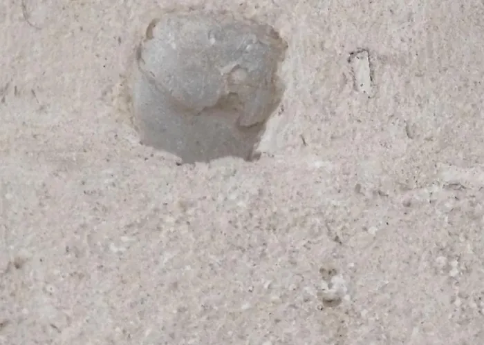 ベッド・アンド・ブレックファスト La Casa Del Tartufaio