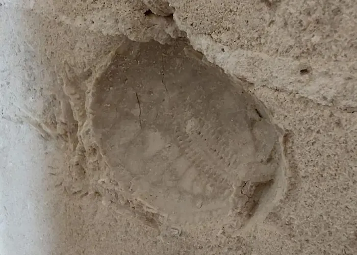 La Casa Del Tartufaio ベッド・アンド・ブレックファスト