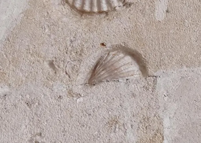 ベッド・アンド・ブレックファスト La Casa Del Tartufaio 3*