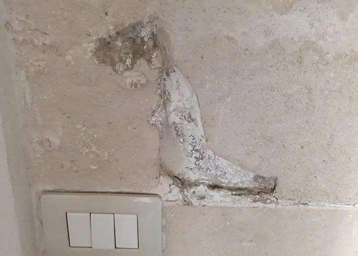 ベッド・アンド・ブレックファスト La Casa Del Tartufaio